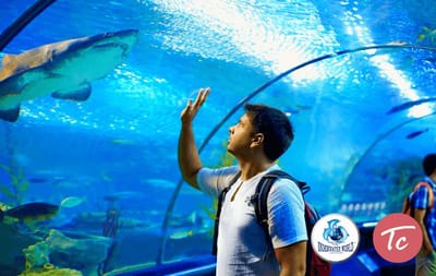 Mykad: Underwater World Langkawi, Child (3-12) -(TIXCARTE) Malaysia gift card