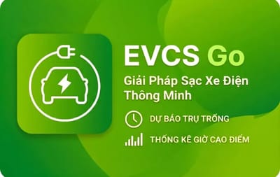 EVCS Go 100.000 Điểm - EVCS Go 100.000 Points Vietnam gift card