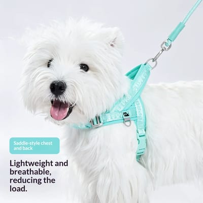Quick-fit Lightweight And Breathable Pet Saddle-style Harness