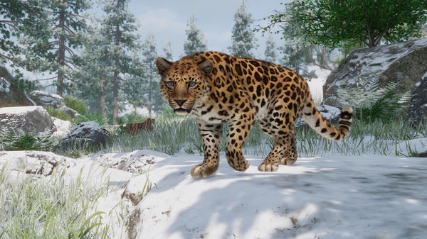 Planet Zoo: Premium Edition 2023 Steam CD Key screenshot 21