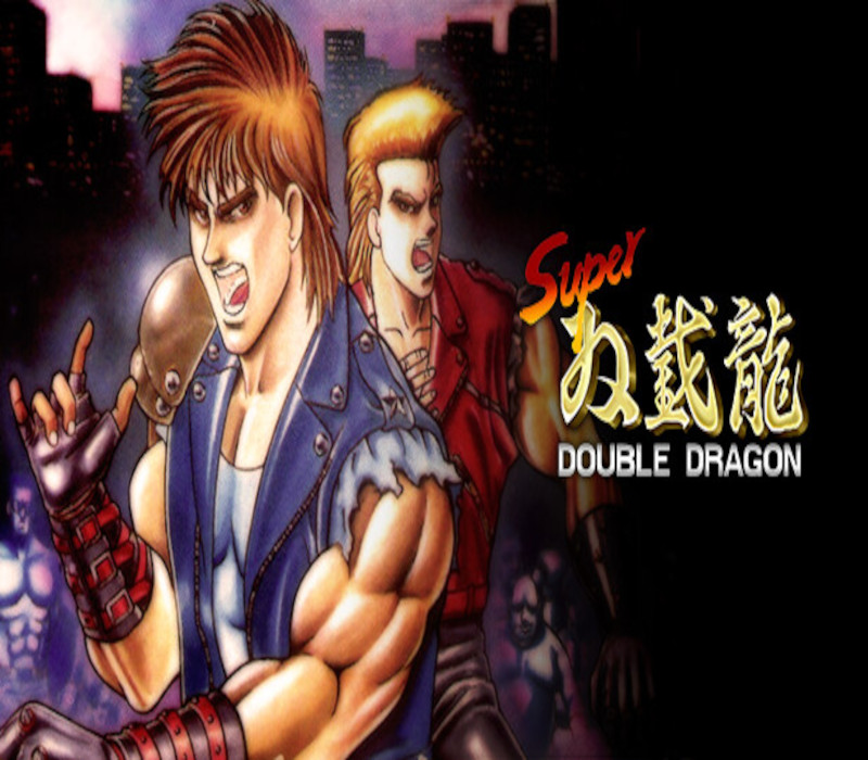 Super Double Dragon Steam CD Key cover art