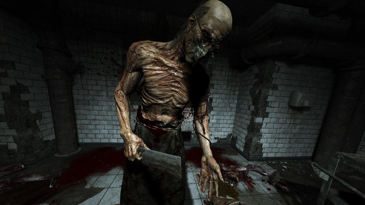 Outlast: Bundle of Terror PC Steam CD Key screenshot 1