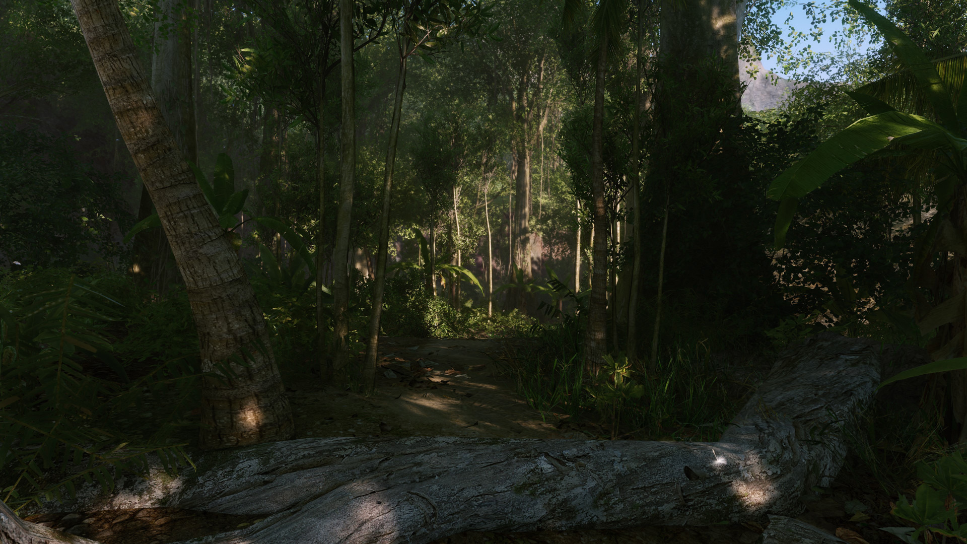 Crysis Remastered EU Nintendo Switch CD Key screenshot 5