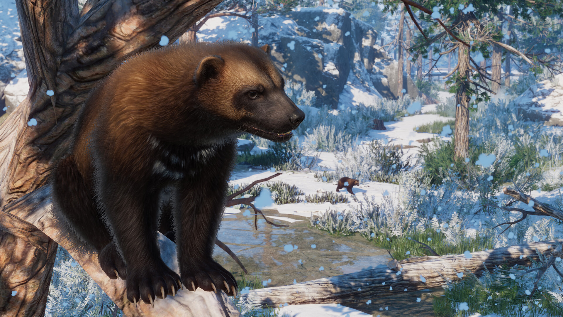 Planet Zoo - Eurasia Animal Pack DLC EU Steam CD Key screenshot 3