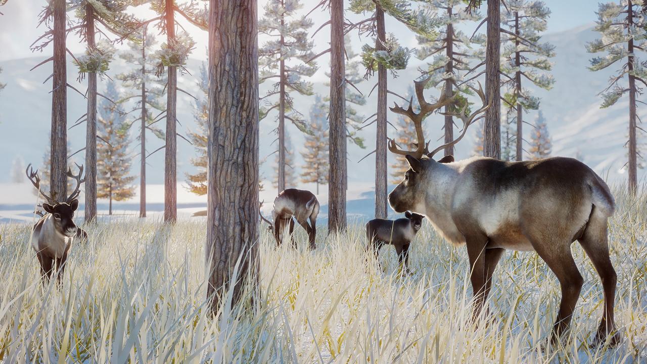 Planet Zoo - Arctic Pack DLC EU PC Steam Altergift screenshot 3