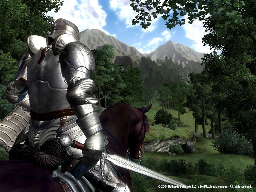 The Elder Scrolls IV: Oblivion GOTY Edition EU PC Steam CD Key screenshot 3