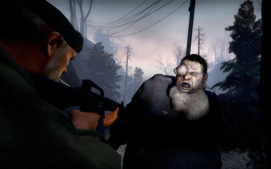 Left 4 Dead GOTY Steam Gift — zrzut ekranu 6