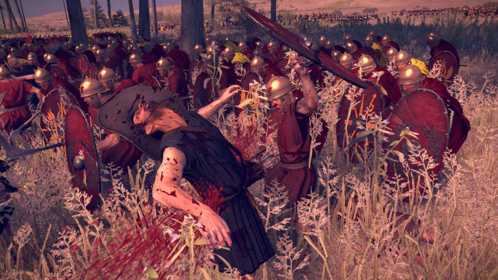 Total War: ROME II - Blood & Gore DLC PC Steam CD Key – Screenshot 6