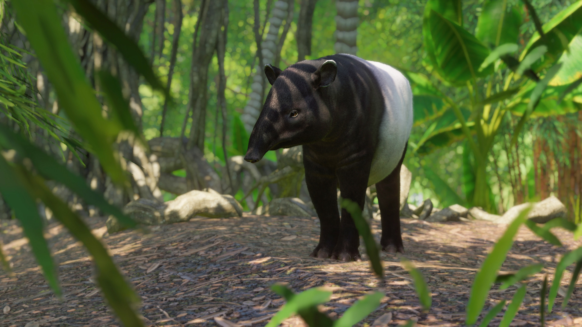 Planet Zoo - Southeast Asia Animal Pack DLC EU PC Steam CD Key screenshot 3