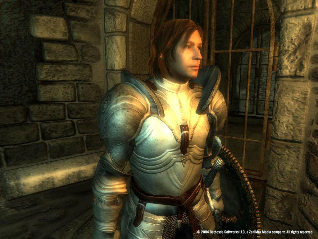 The Elder Scrolls IV: Oblivion GOTY Edition PC Steam Gift screenshot 8