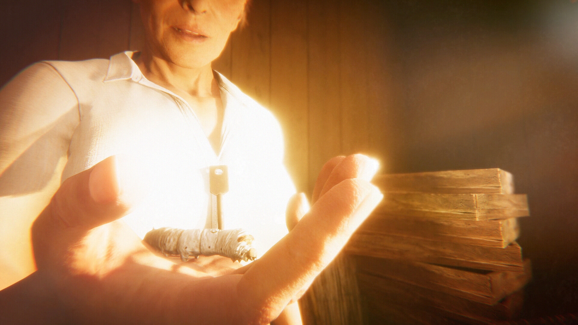 Screenshot 6 di Hollow Cocoon PC Steam Account