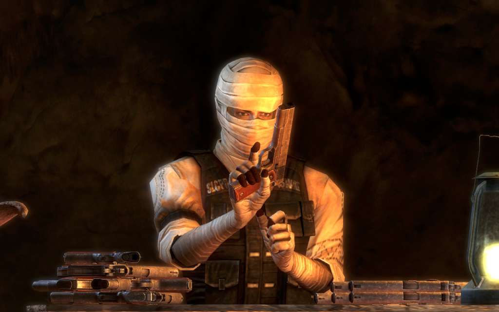 Fallout: New Vegas Ultimate Edition EU PC Steam CD Key screenshot 6