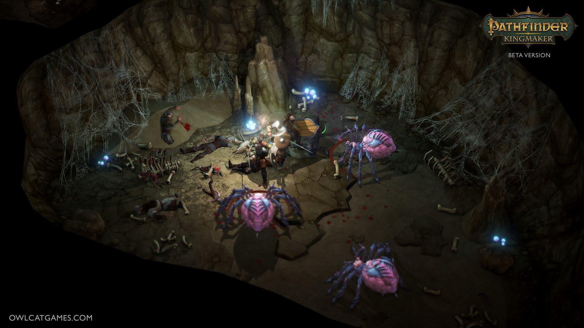 Pathfinder: Kingmaker Imperial Edition PC Steam CD Key  screenshot 5