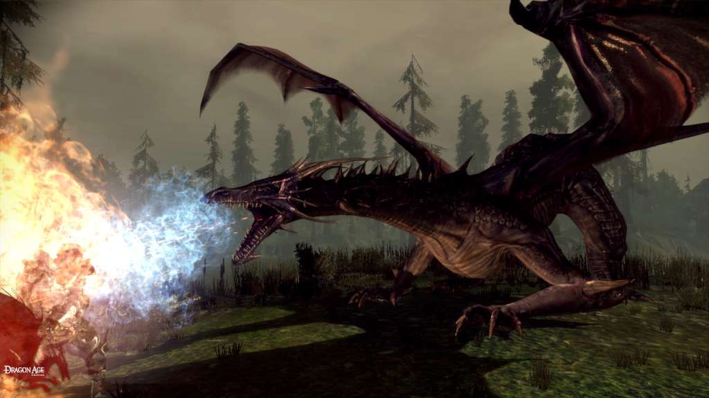 Dragon Age: Origins PC Steam CD Key screenshot 5