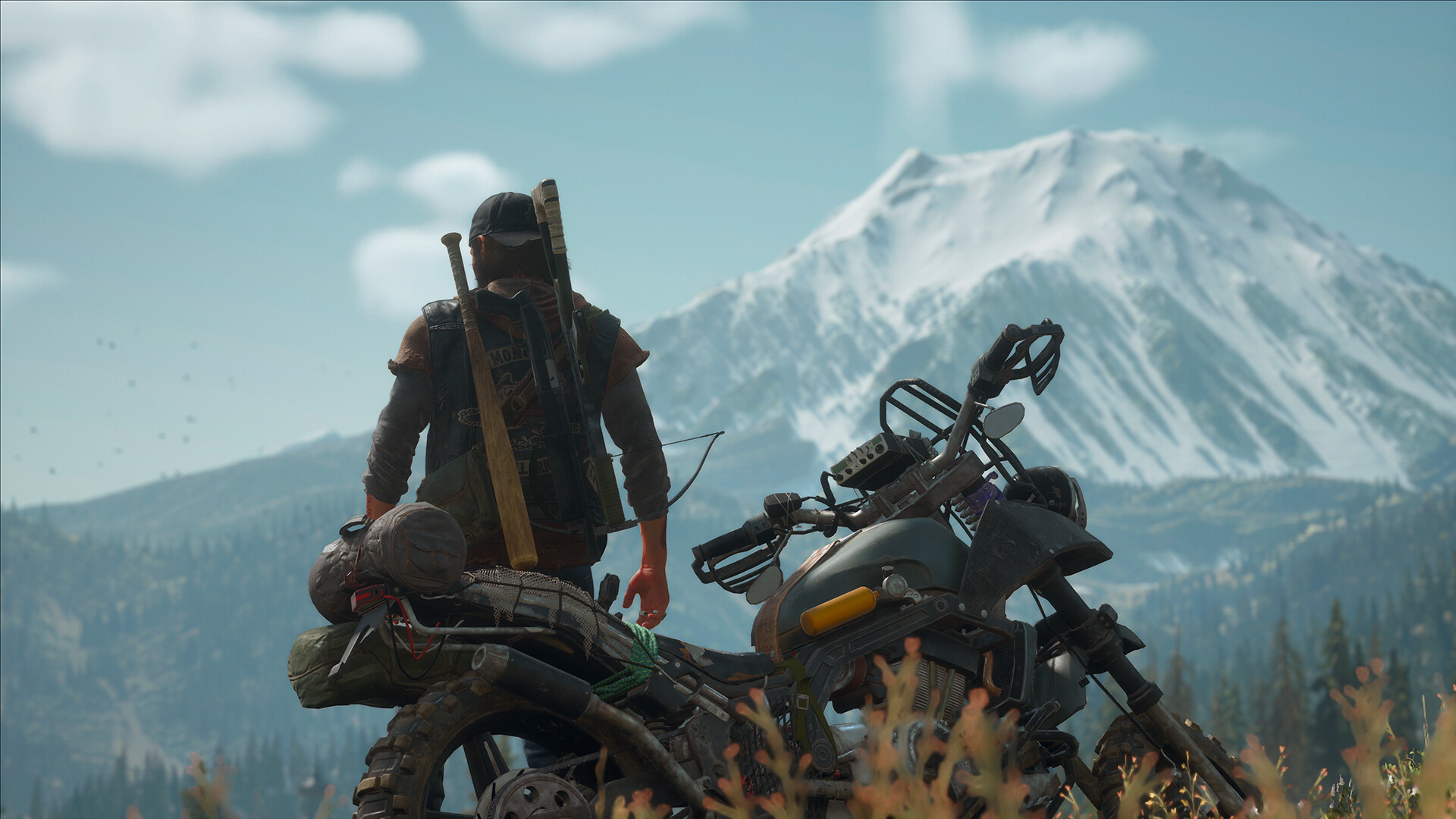 Days Gone - Broken Road DLC PC Steam CD Key screenshot 12