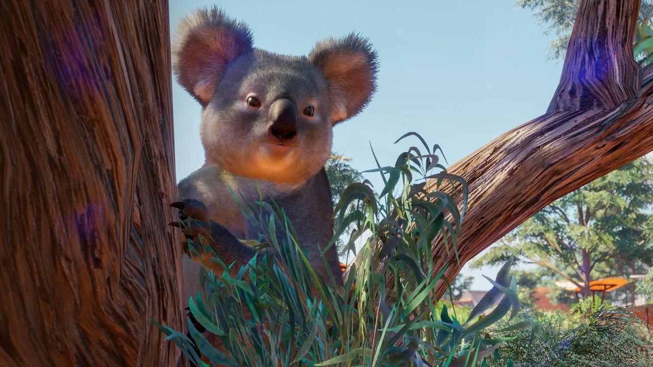 Planet Zoo - Australia Pack DLC PC Steam Altergiftのスクリーンショット10