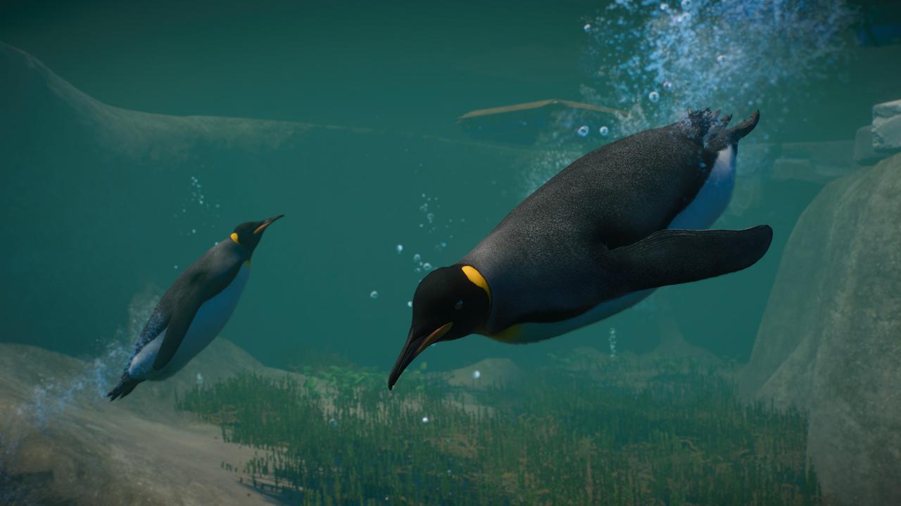 Planet Zoo - Aquatic Pack DLC EU PC Steam Altergift screenshot 8