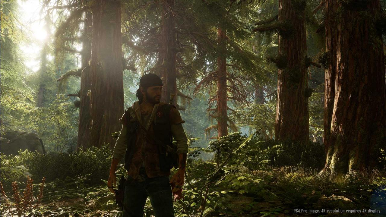 Screenshot 6 di Days Gone PS4/PS5 Account