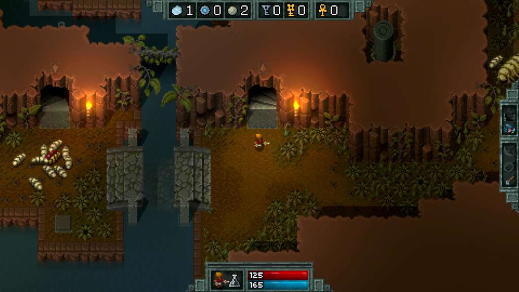 Hammerwatch Steam CD Key 스크린샷 3