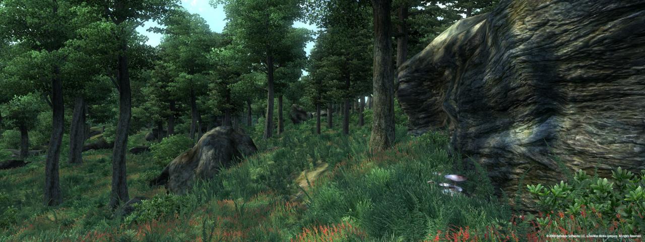 The Elder Scrolls IV: Oblivion GOTY Edition PC Steam Gift screenshot 2