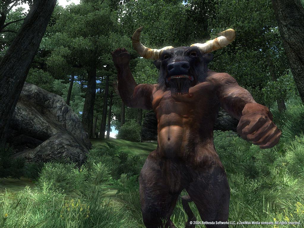 The Elder Scrolls IV: Oblivion GOTY Edition Deluxe RU VPN Required PC Steam CD Key screenshot 5