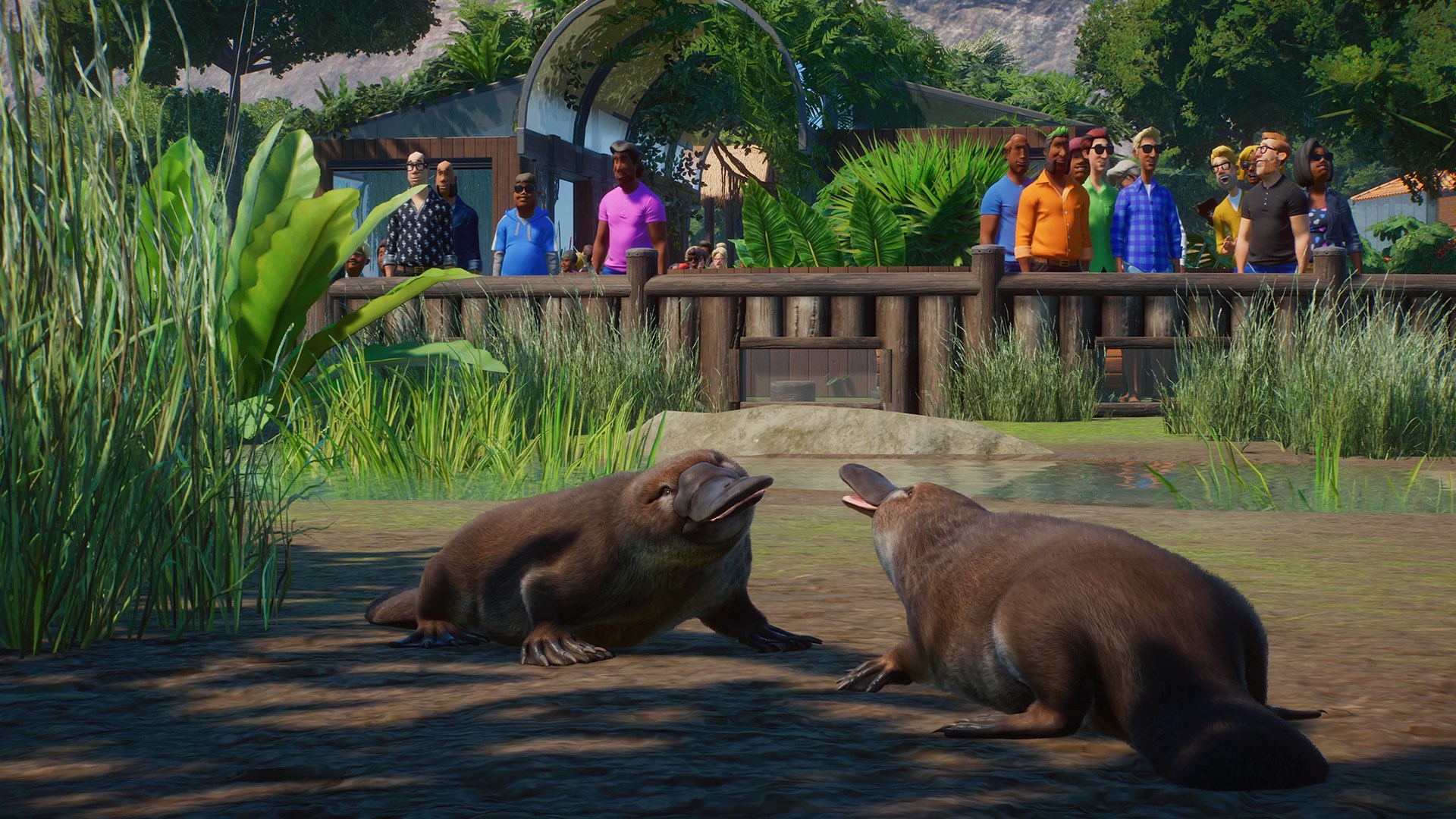 Planet Zoo Ultimate Edition 2025 PC Steam CD Key screenshot 5