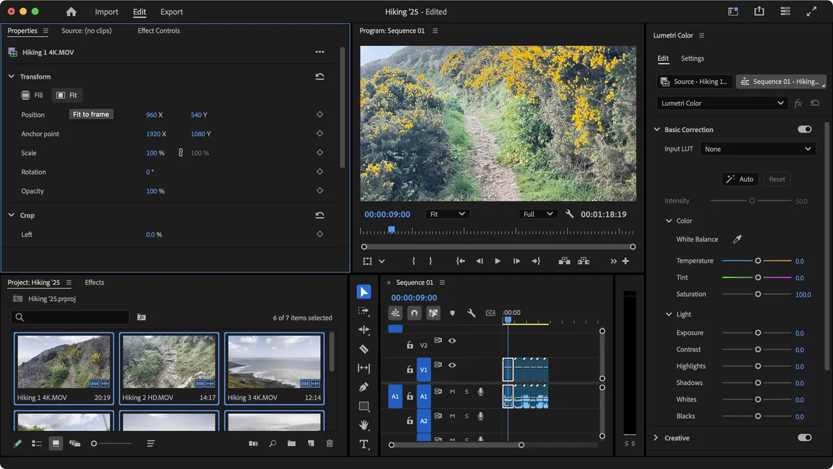 Screenshot 3 di Adobe Premiere Pro 2025 (1 Year / 1 PC / MAC)