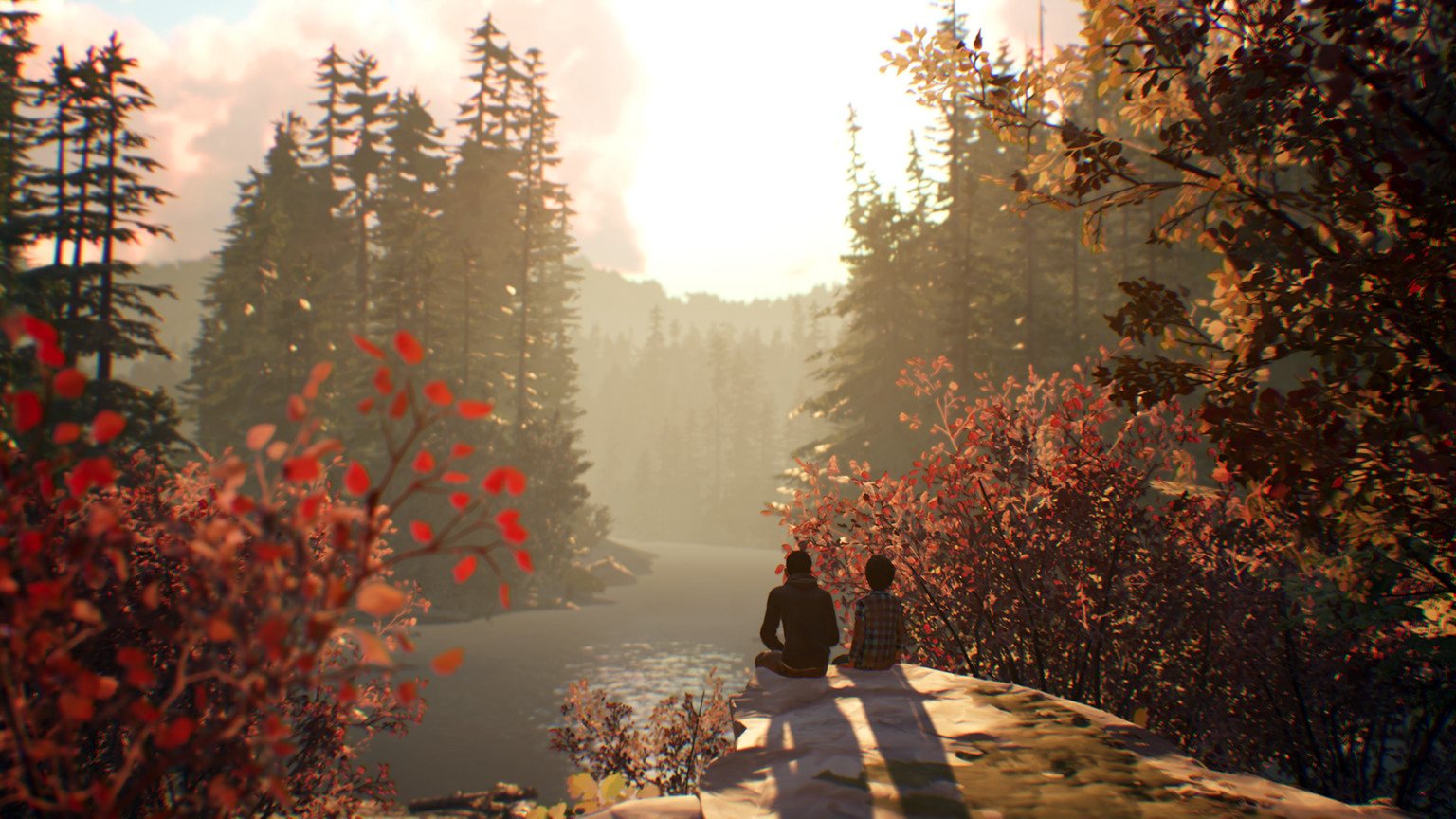 Life is Strange 2 Complete Season EU PC Steam CD Key screenshot 5