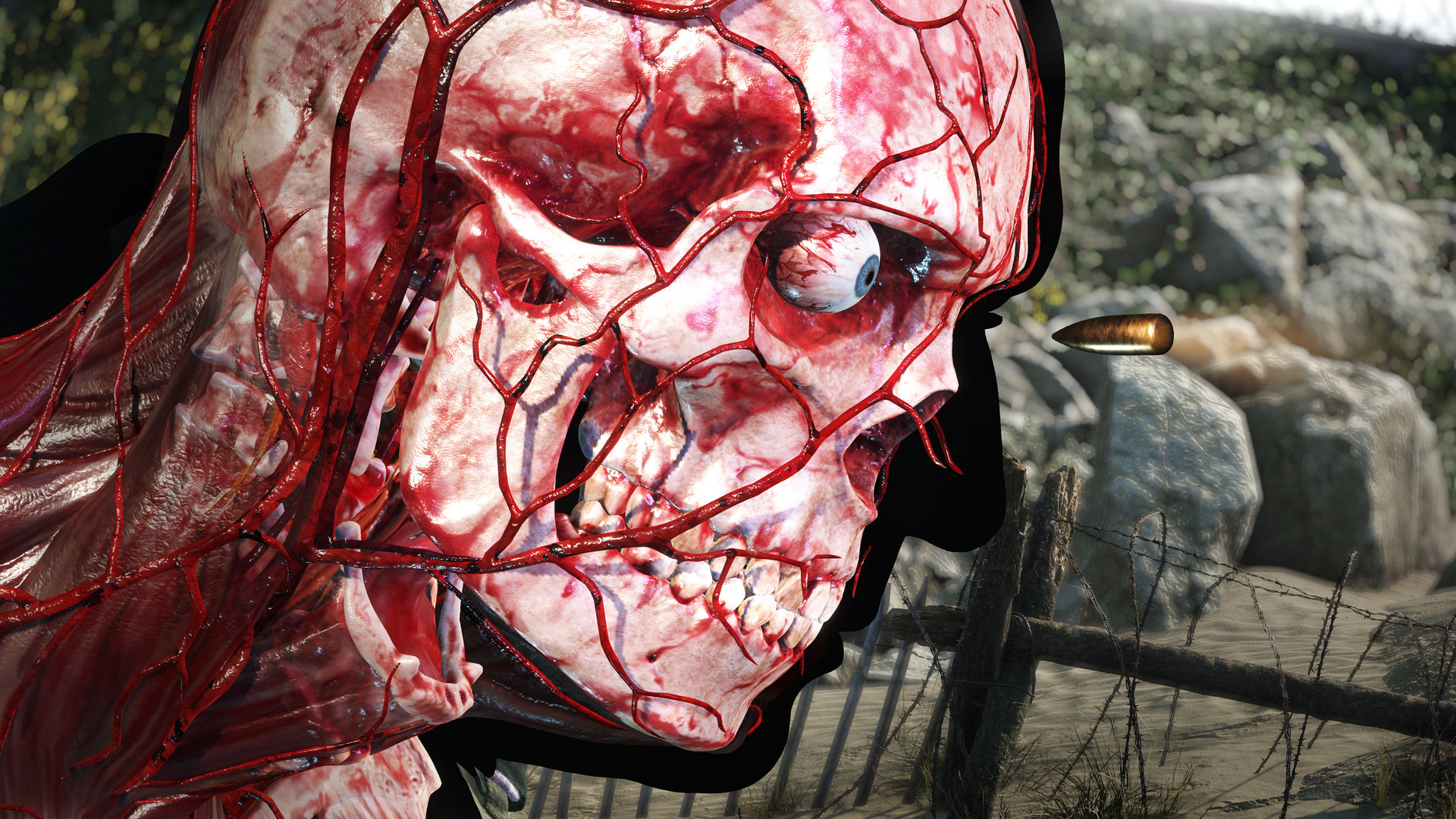 Sniper Elite 5 ASIA PC Steam CD Key screenshot 7