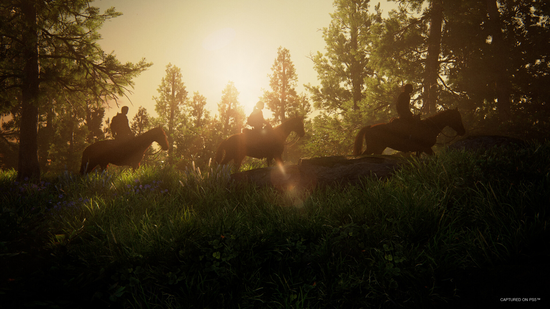 The Last of Us Part 1 US PC Steam CD Key screenshot 6
