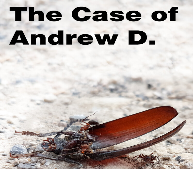 The Case of Andrew D. PC Steam CD Key cover art