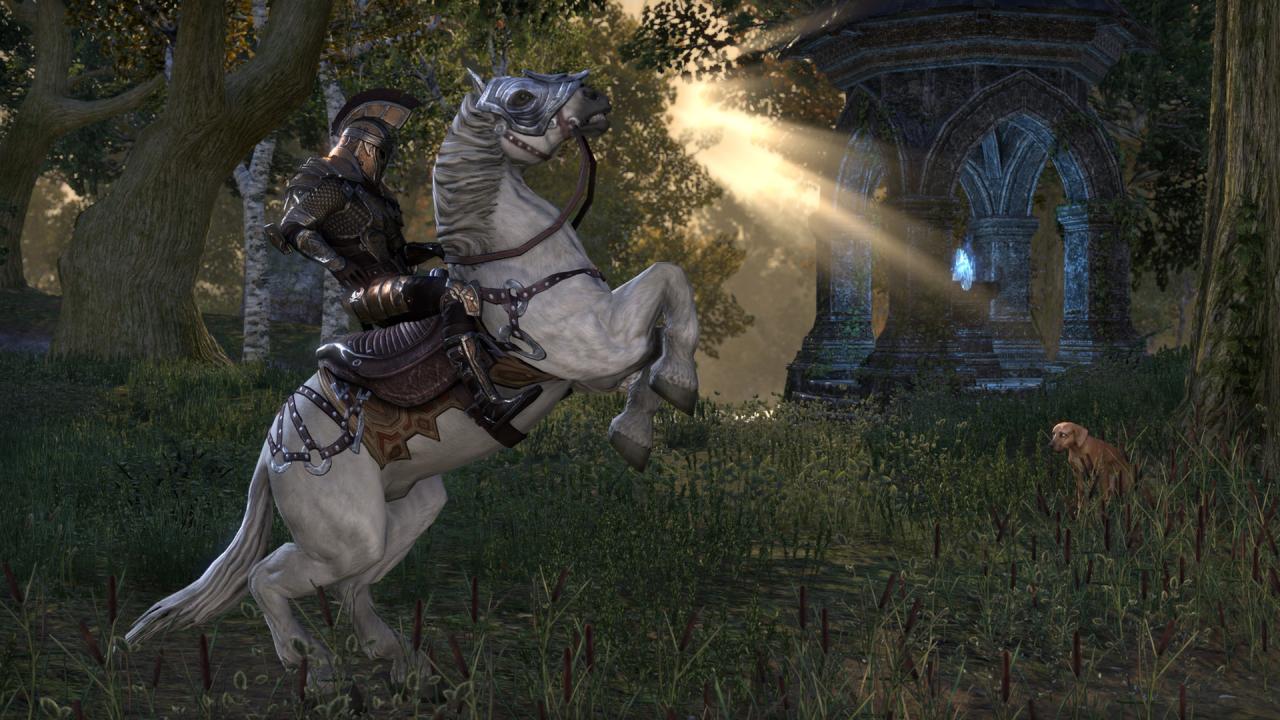 The Elder Scrolls Online Standard Edition Digital Download CD Key screenshot 6