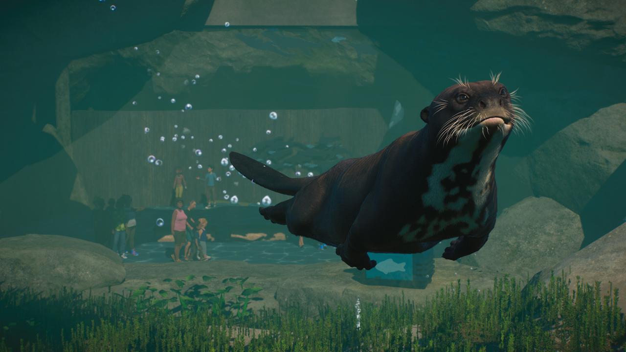 Planet Zoo - Aquatic Pack DLC EU PC Steam Altergift screenshot 7