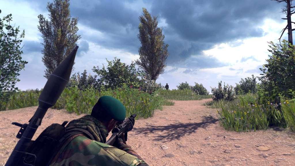 Call to Arms - Deluxe Edition Upgrade DLC PC Steam CD Key  screenshot 3
