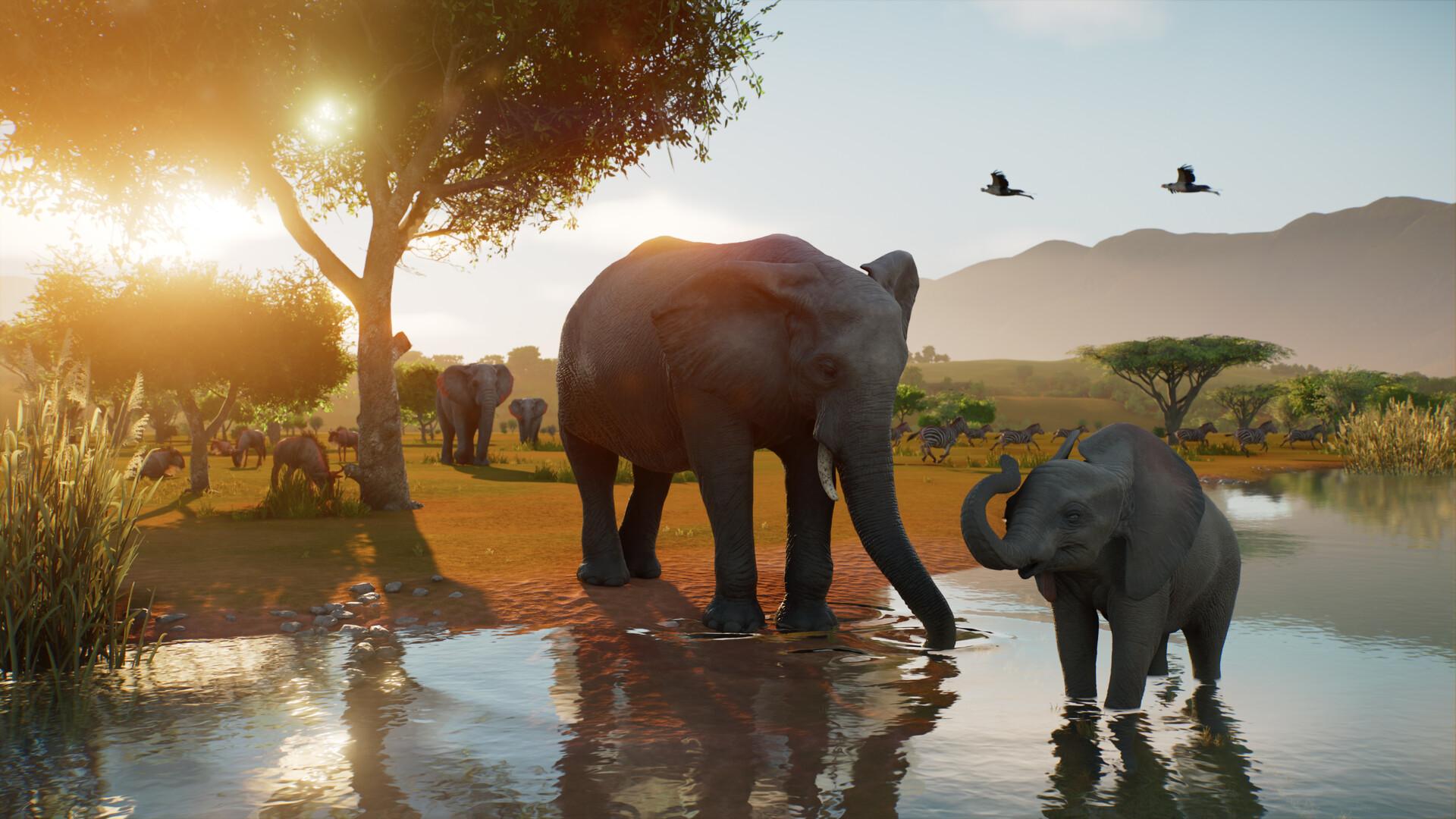 Planet Zoo 2 PRE-ORDER PC Steam CD Key game key