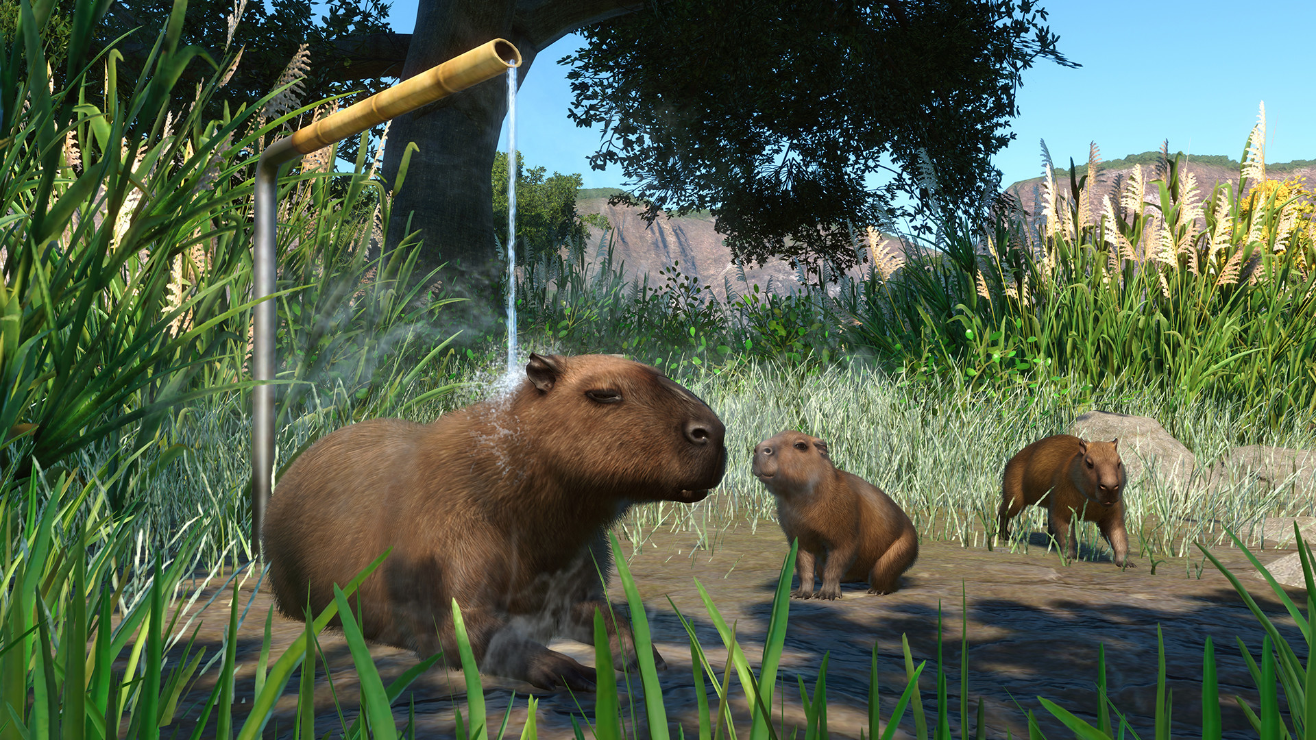 Planet Zoo - Wetlands Animal Pack DLC EU Steam CD Key screenshot 1