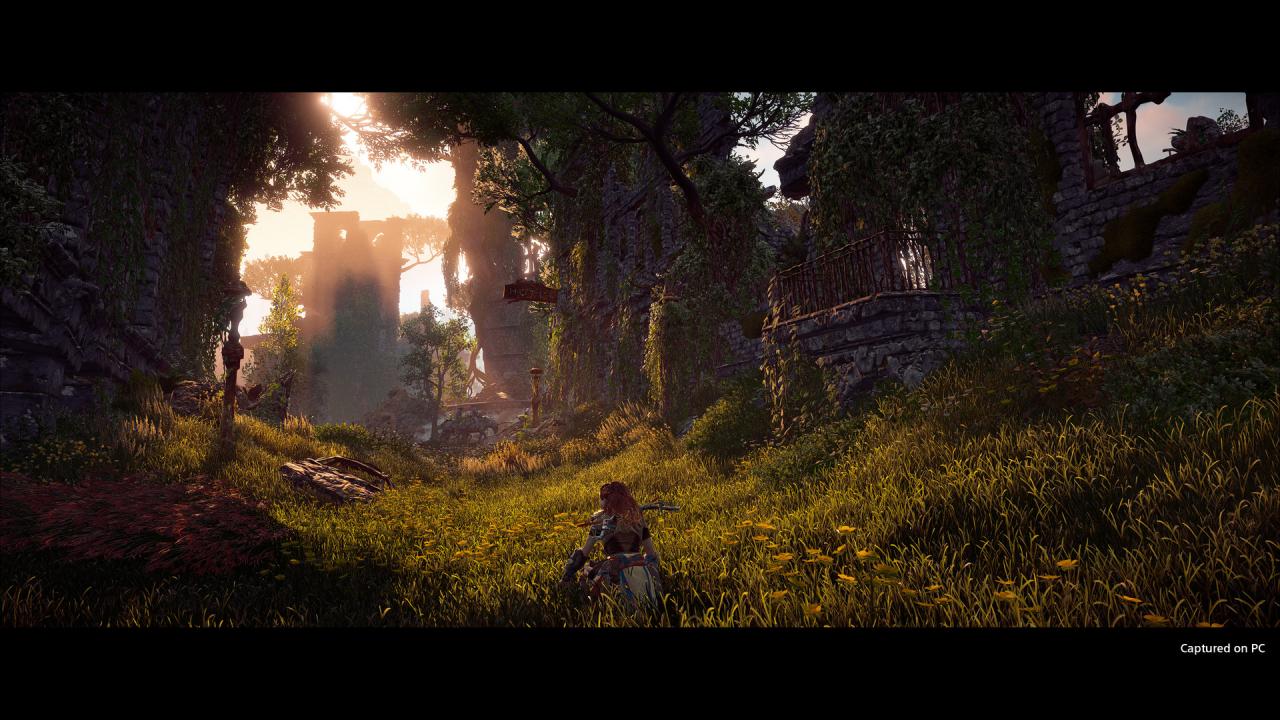 Horizon Zero Dawn Remastered Bundle PC Steam Account screenshot 6