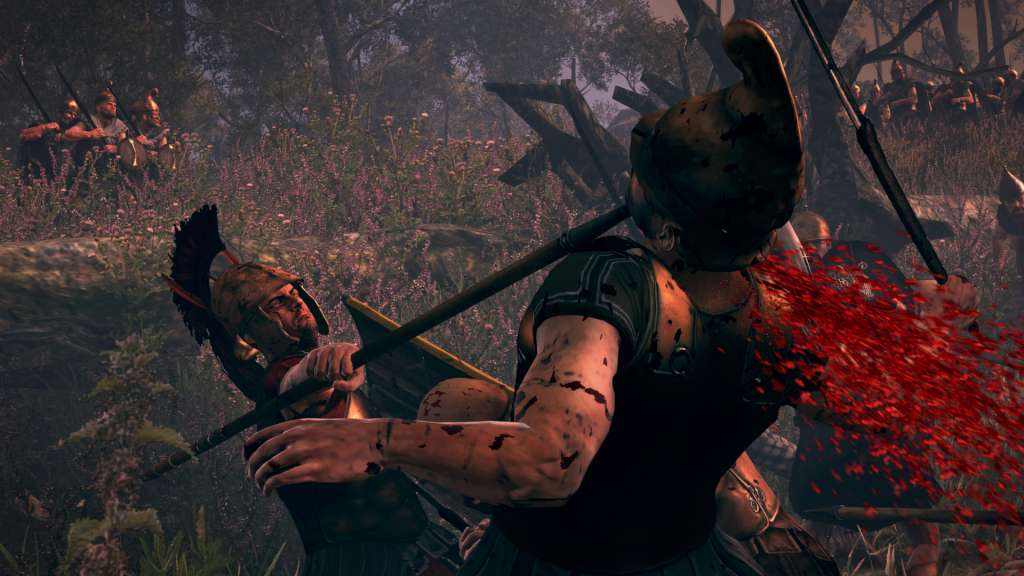 Total War: ROME II - Blood & Gore DLC PC Steam CD Key – Screenshot 5