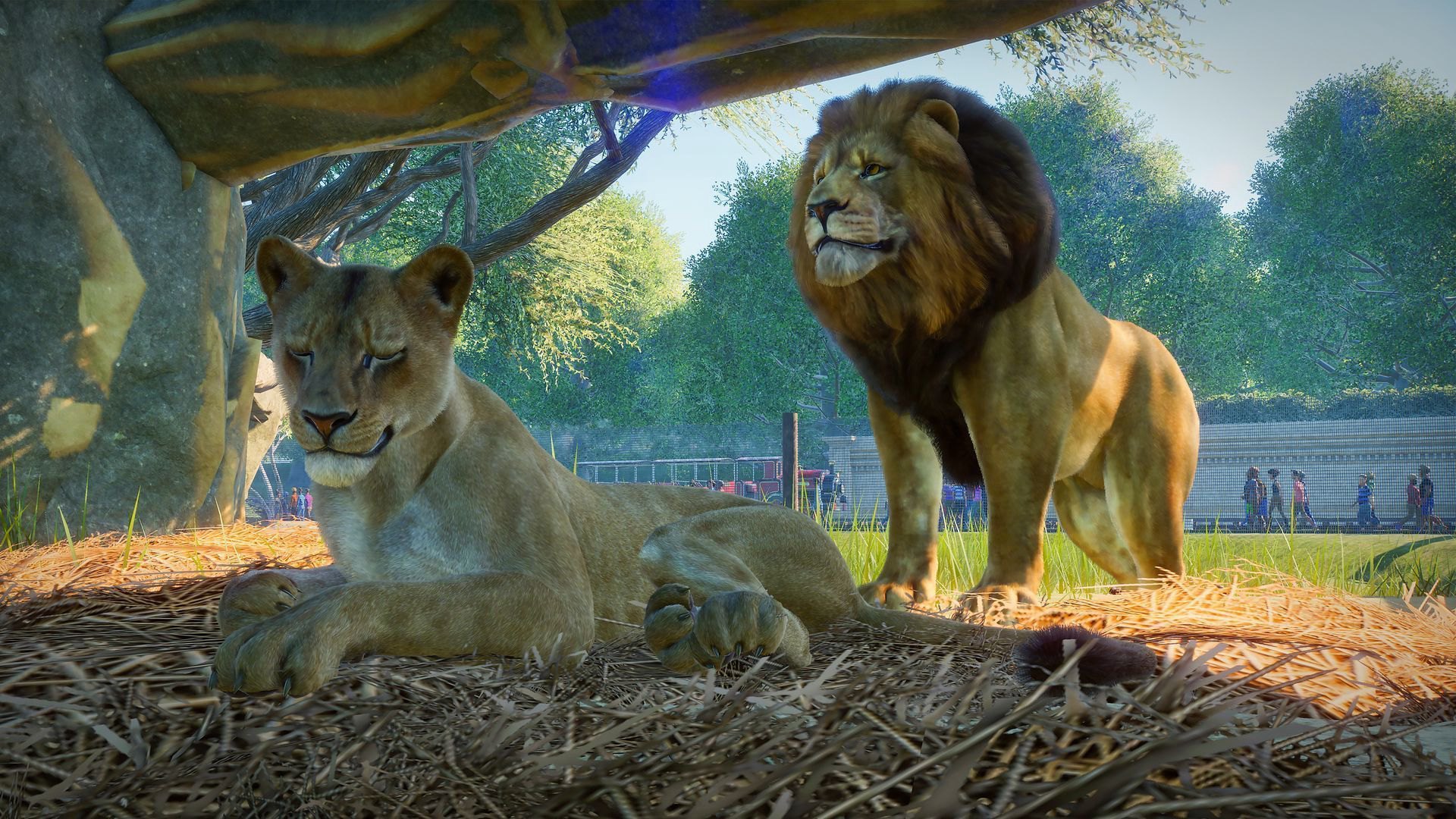 Planet Zoo PC Steam Account screenshot 1