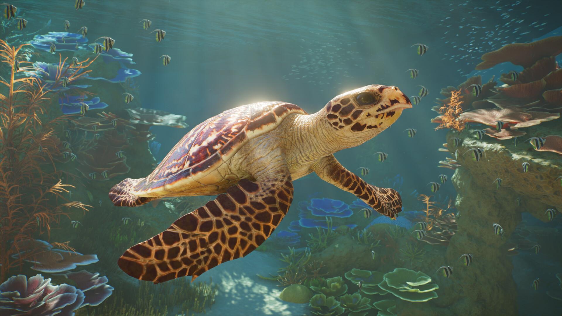 Planet Zoo 2 PRE-ORDER PC Steam CD Key screenshot 5