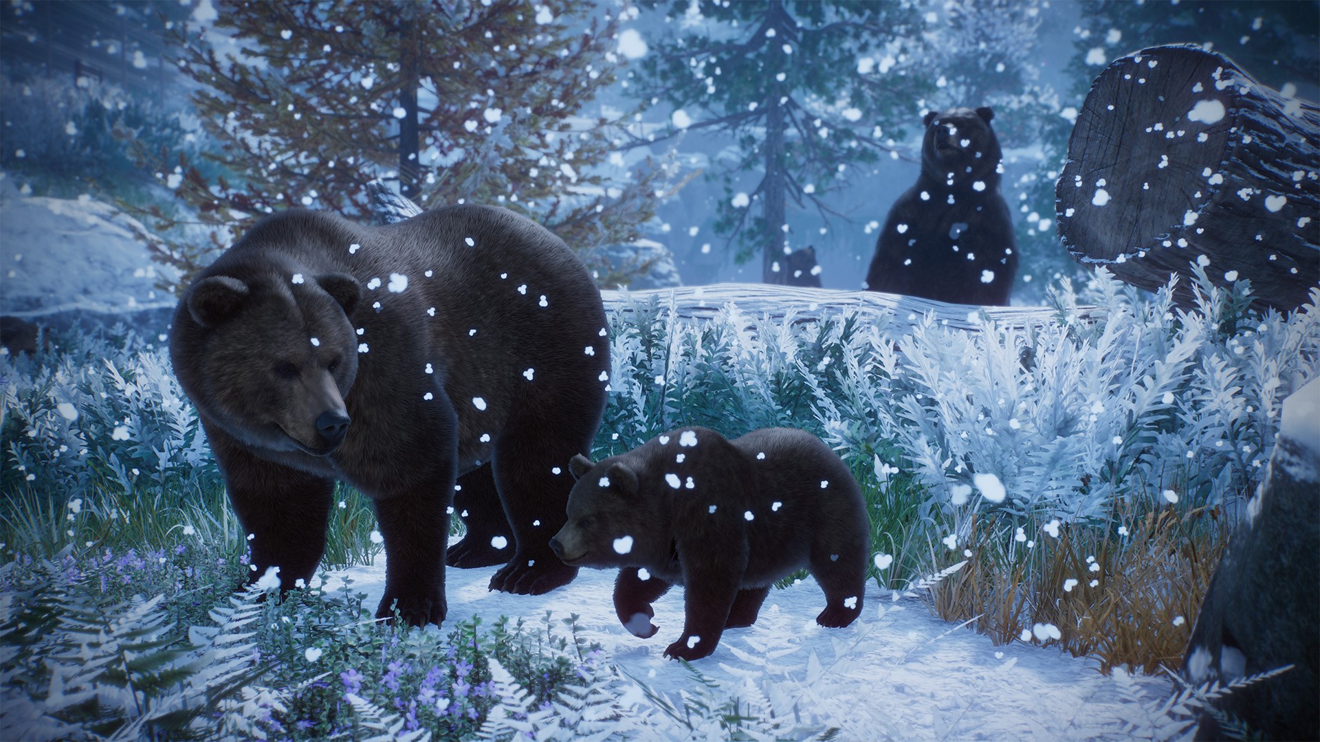 Planet Zoo: Console Edition EU Xbox Series X|S CD Key screenshot 2