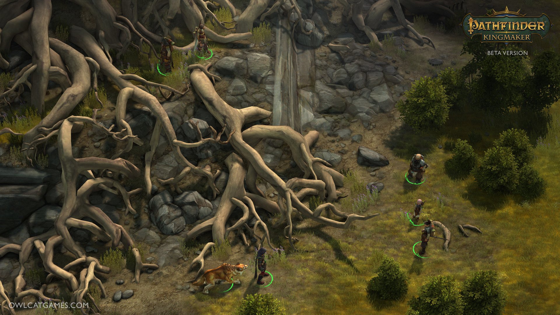 Screenshot 1 di Pathfinder: Kingmaker Noble Edition ASIA Steam CD Key