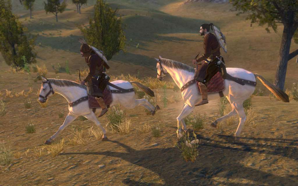 Mount & Blade Full Collection Steam CD Key — zrzut ekranu 4
