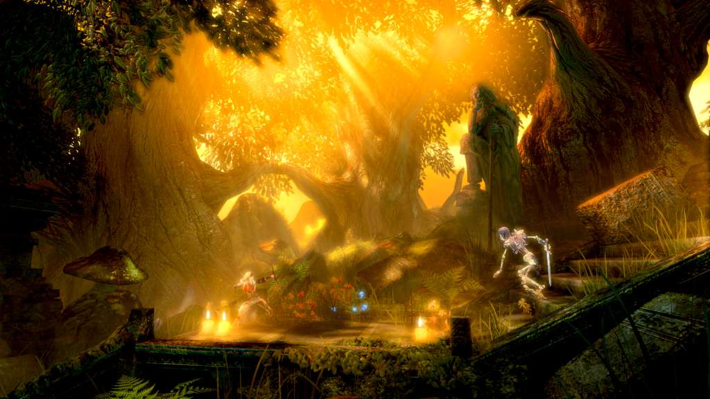 Trine: Ultimate Collection (2015) EU PC Steam CD Key screenshot 1