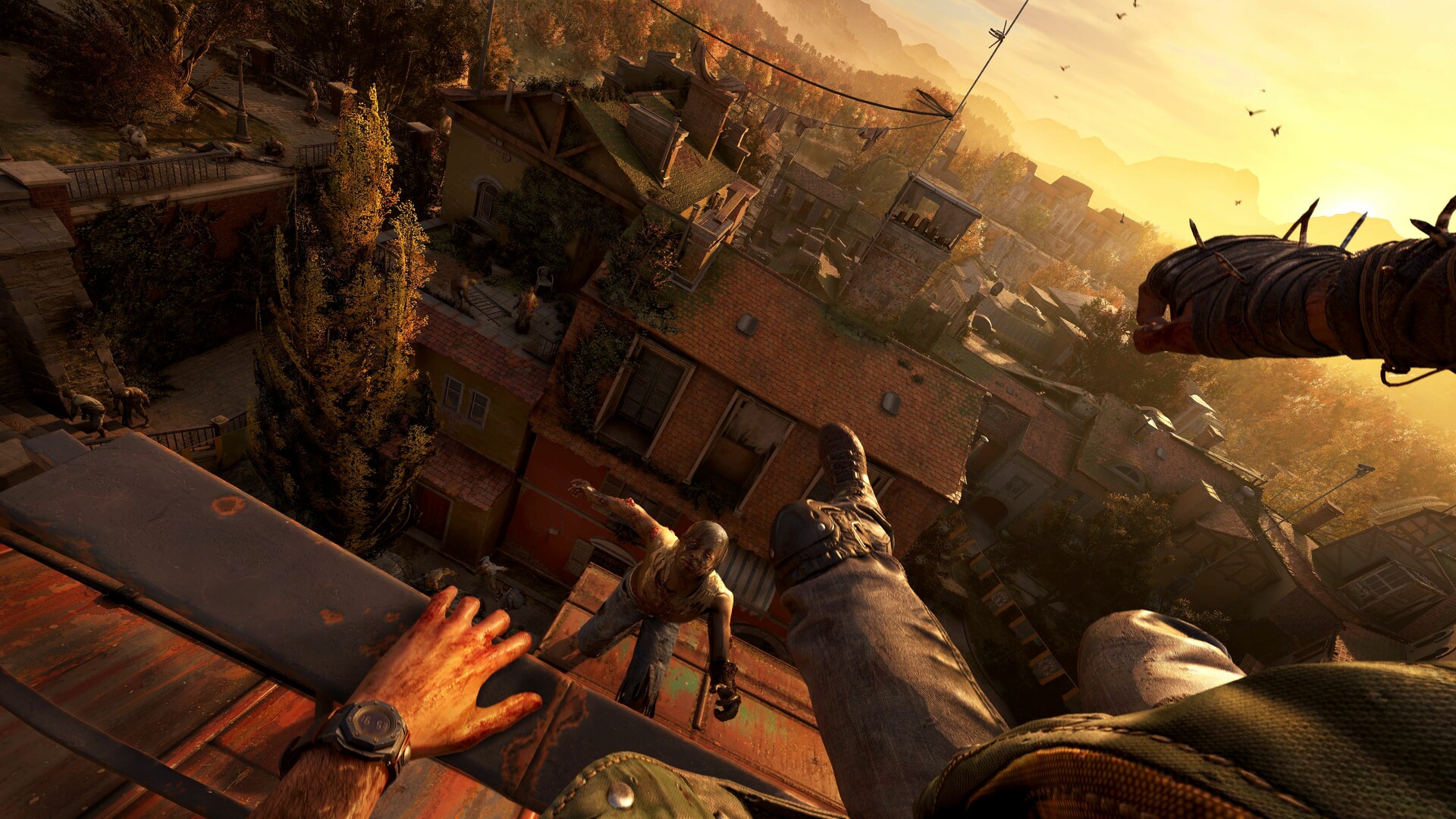 Dying Light: The Beast RL Definitive Edition PC Steam CD Key screenshot 8