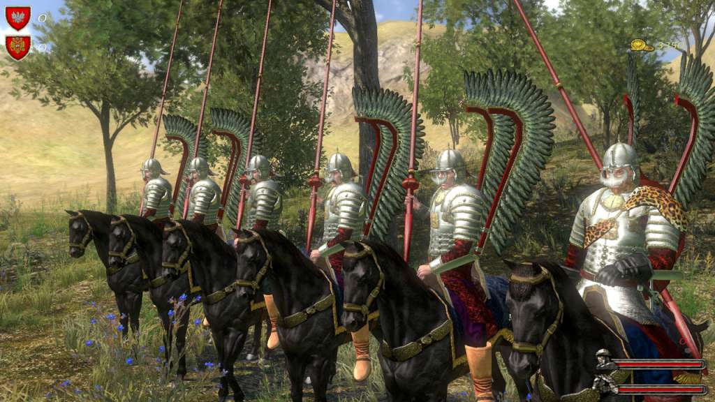 Mount & Blade: With fire and Sword Steam Gift screenshot 6