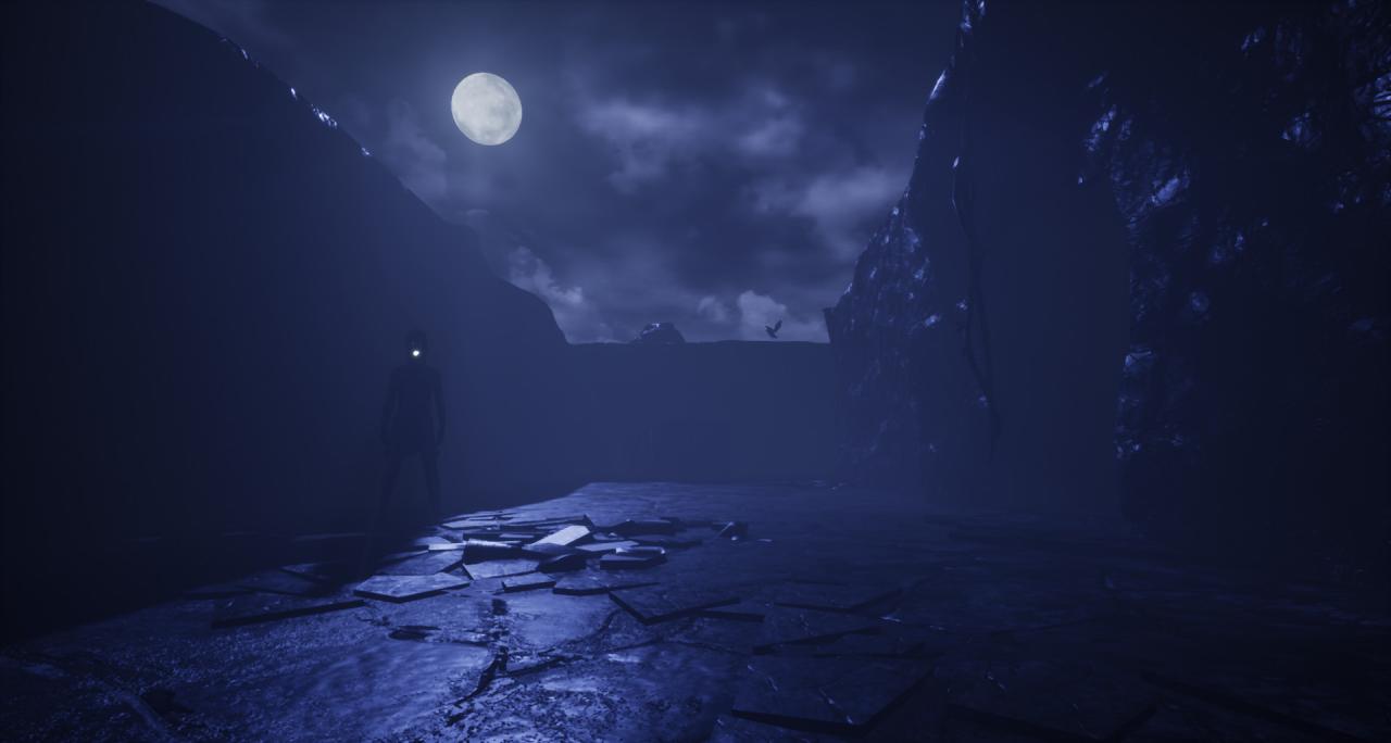 Sleeping Dawn Steam CD Key screenshot 4