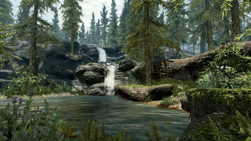 The Elder Scrolls V: Skyrim Legendary Edition EU PC Steam CD Key screenshot 6