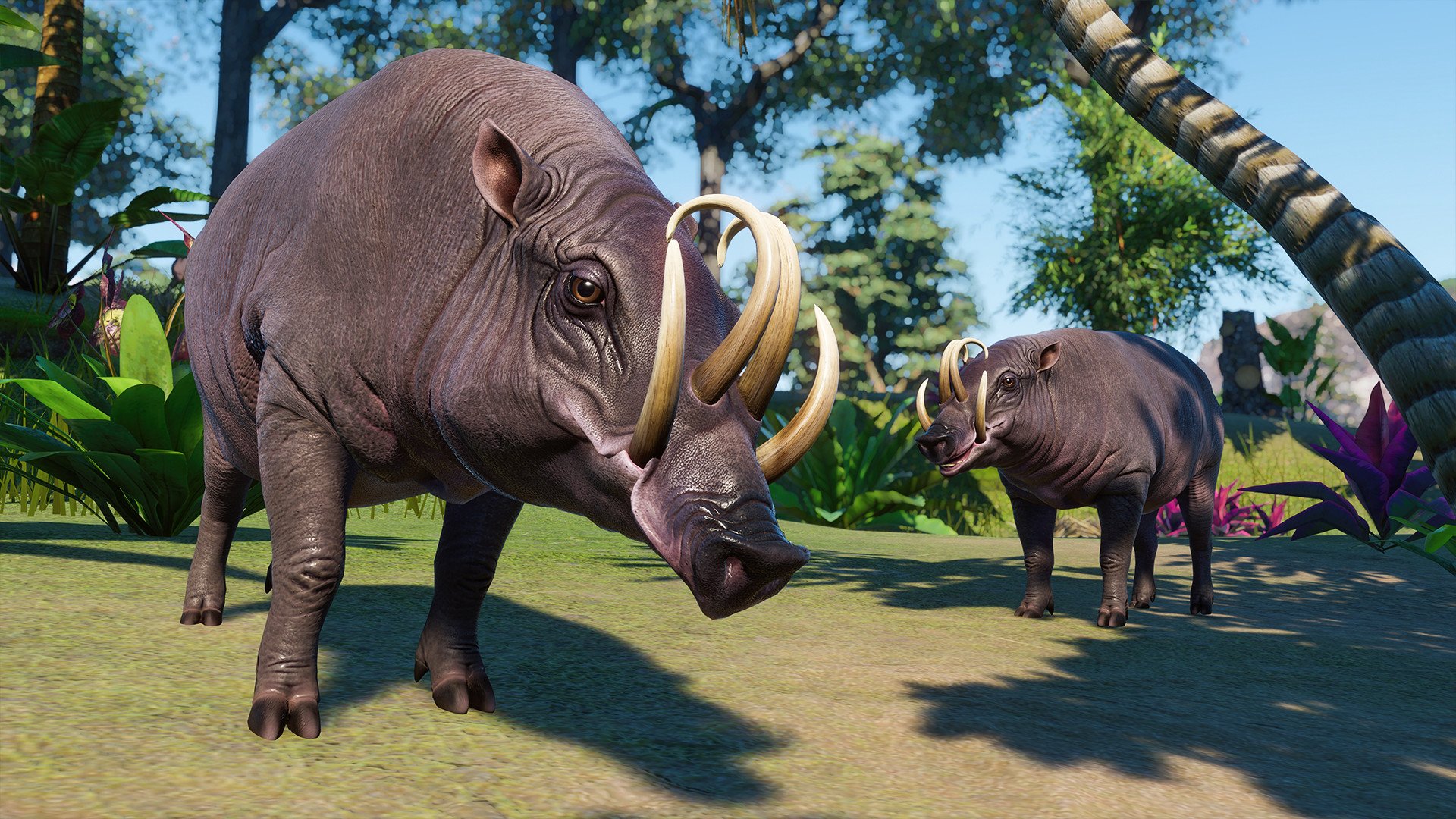Planet Zoo - Southeast Asia Animal Pack DLC EU PC Steam CD Key screenshot 8