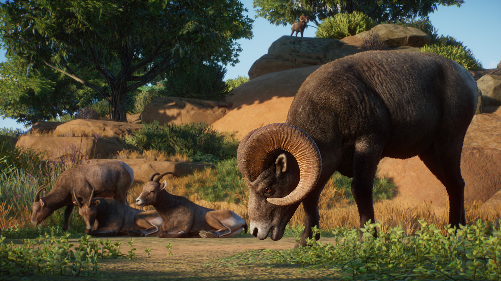 Planet Zoo - Americas Animal Pack DLC PC Steam CD Key screenshot 2